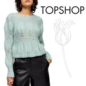 TOPSHOP Mint Petal Pointelle Sweater